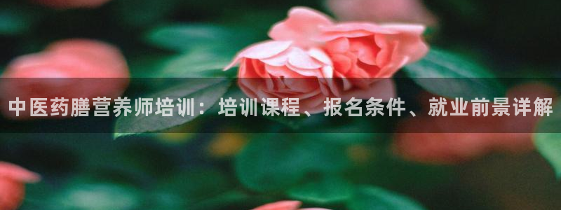 9游会老哥俱乐部