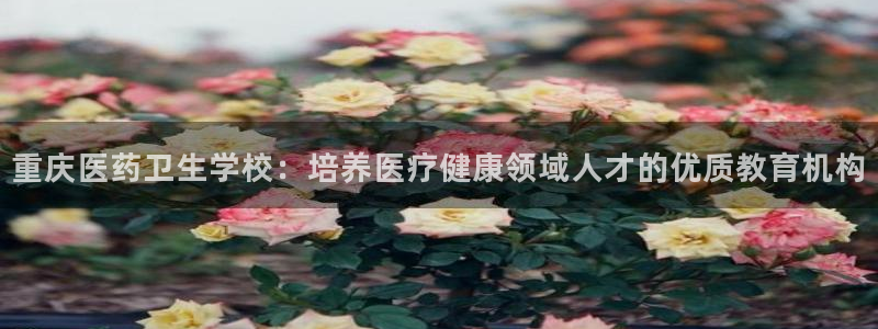 j9九游会平台信誉怎么样