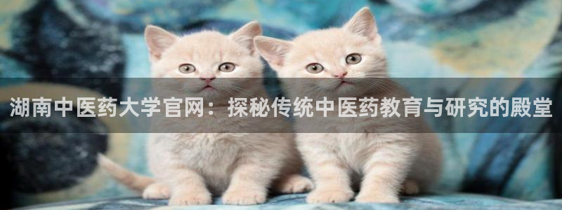 j9九游会游戏