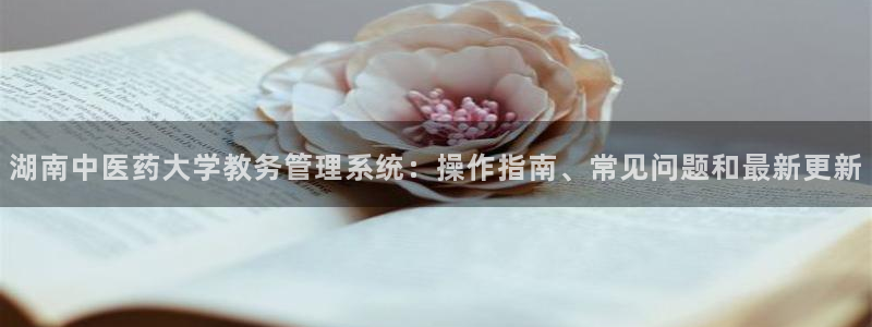 ag老玩家