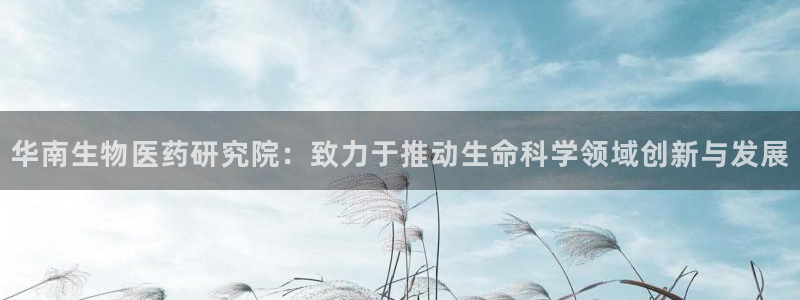 九游会官网网址是多少