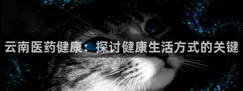 九游会ag真人官网在哪