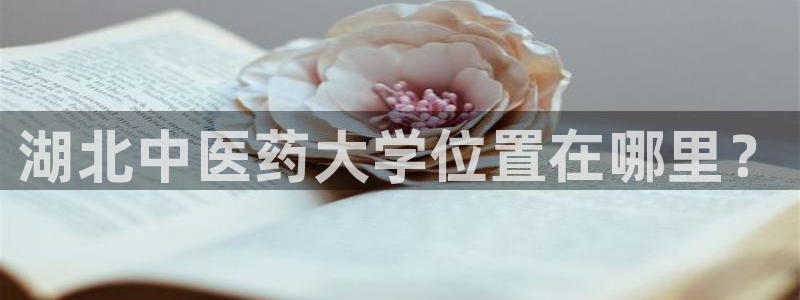 九游j9会 - 真人游戏第一品牌