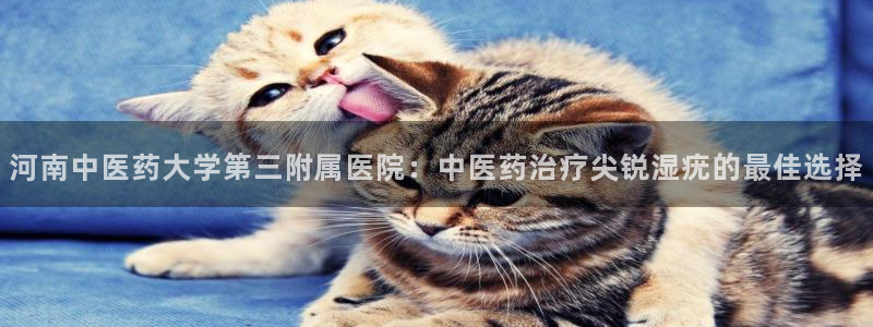 九游会登录