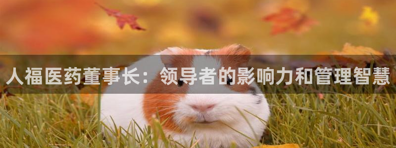 j9九游会app在哪里