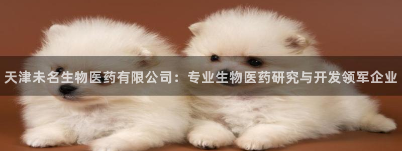 j9九游会登录网址
