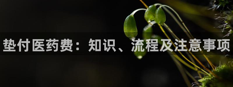 九游会官网登录首页