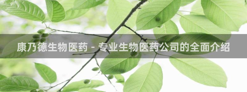 j9九游会游戏