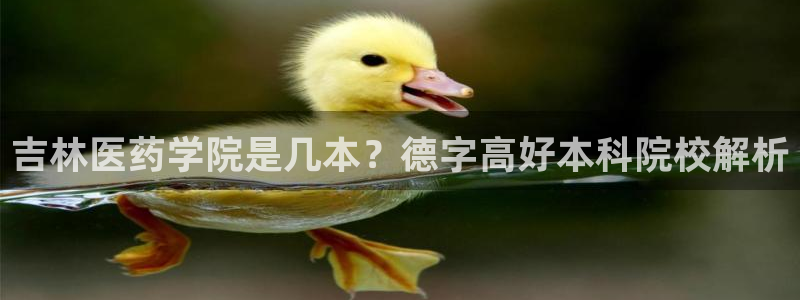 九游j9登录