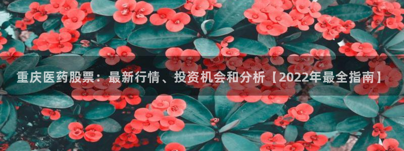 九游会平台ag