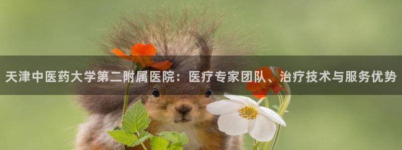 j9九游会首页入口