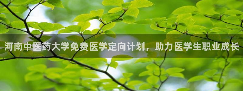 ag九游会登录j9入口
