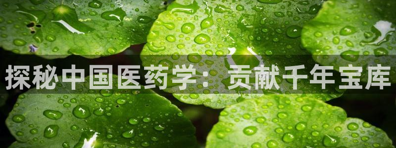 九游会可以提现吗