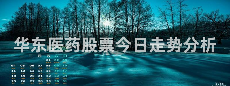 九游j9会