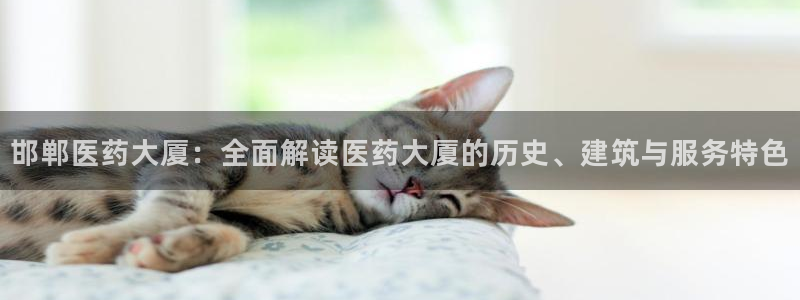 九游会游戏app