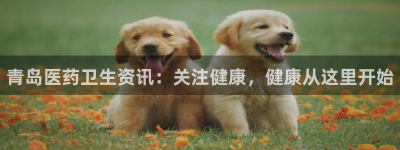九游会是干嘛的