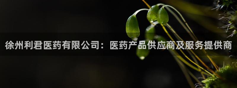 九游会官网网址是多少
