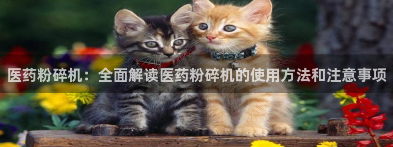 J9九游会老网站