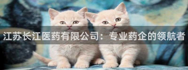九游会j9官方网站