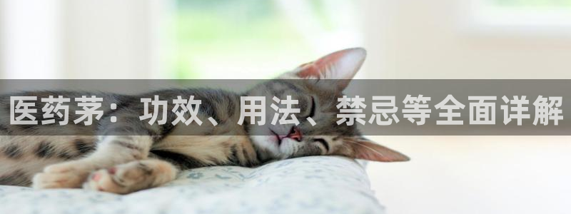 九游会官网进入口