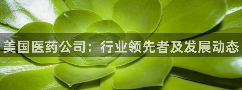 ag九游会老哥