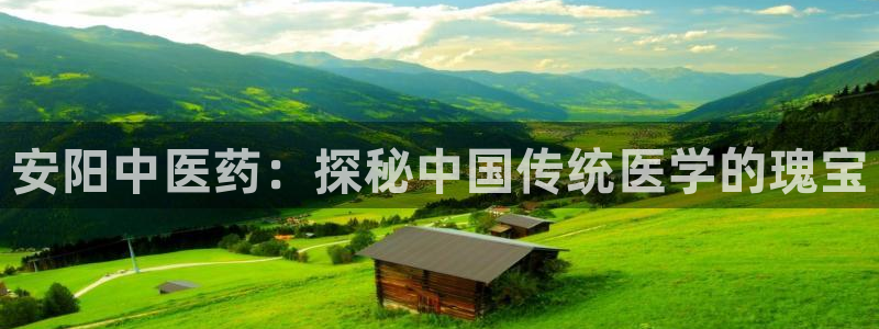 九游j9官方旗舰店