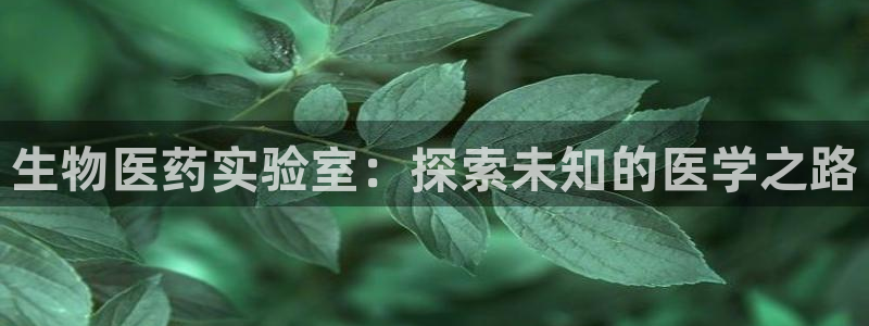 j9j4.cn