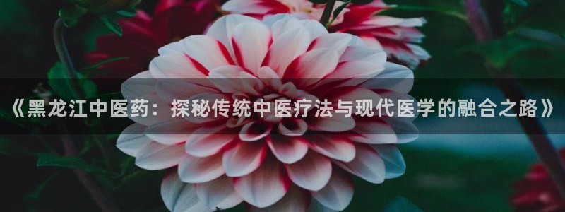 ag变成九游会
