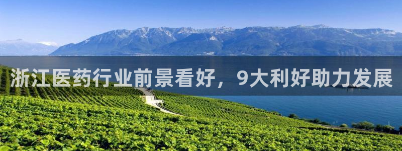 j9九游会游戏