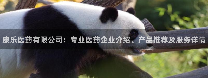 九游会中国j9