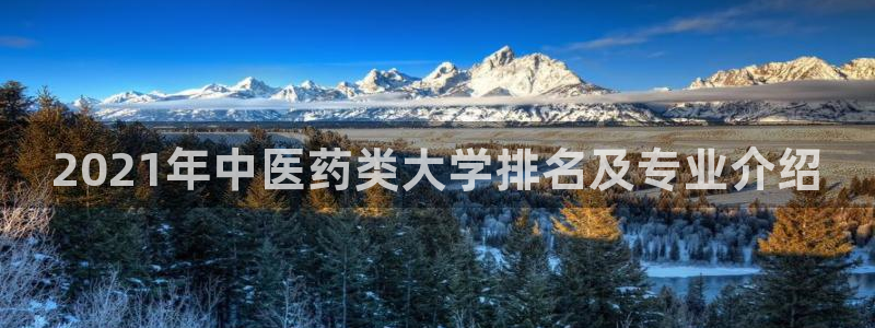 九游会官网地址