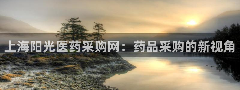 九游j9会