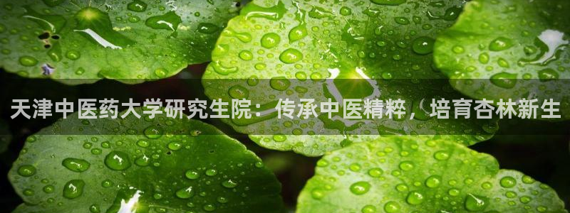九游会官网登录入口网页首页