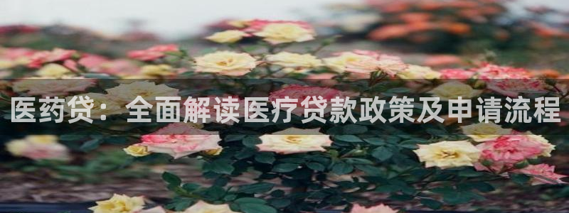 九游会官网页登录