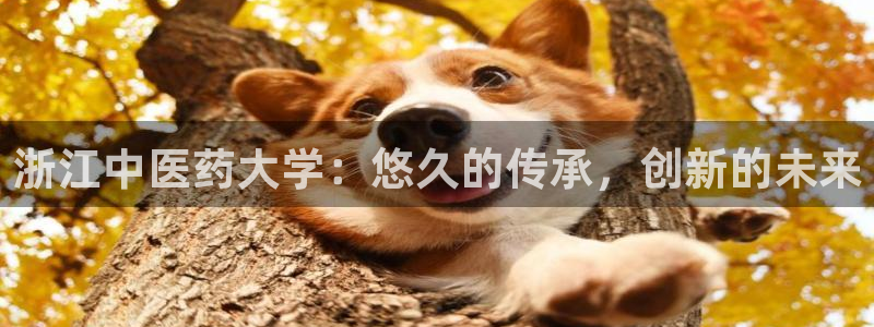 九游会官网j9