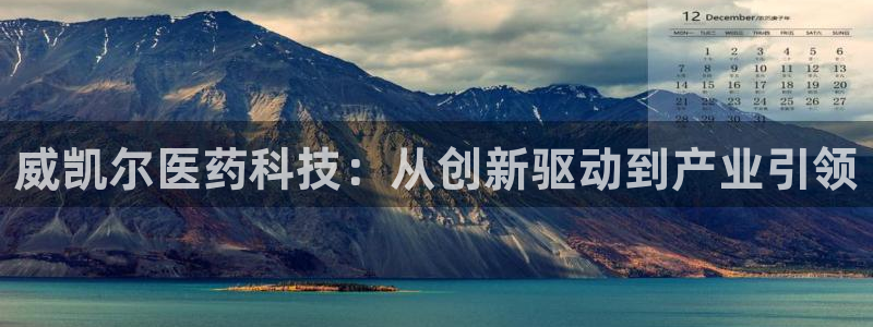 九游会app下载版官网正版安卓