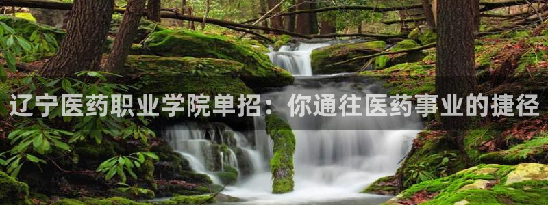 j9九游会登录入口首页新版