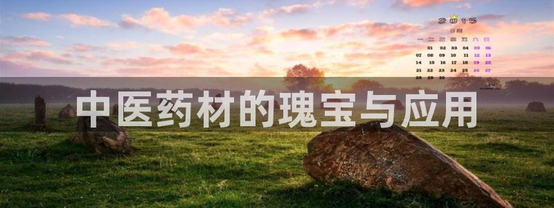 九游会官方地址