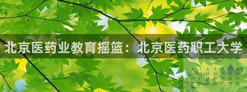 九游会官网j9j9