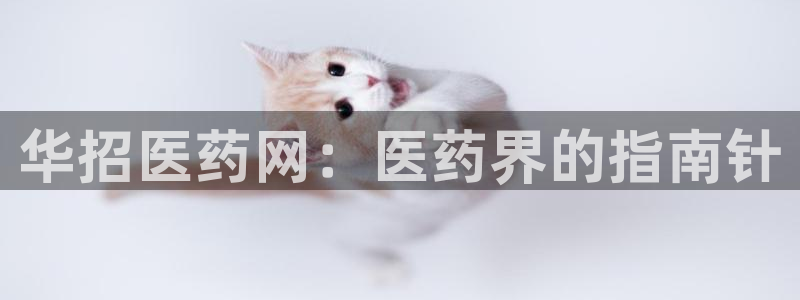 9游会j9