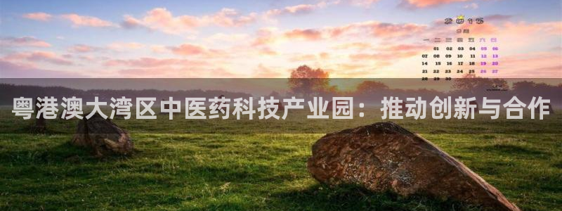 九游会平台网站