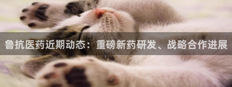j9p下载