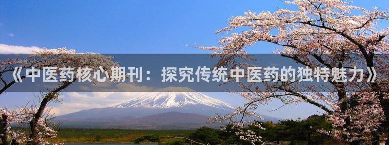 九游会官网真人