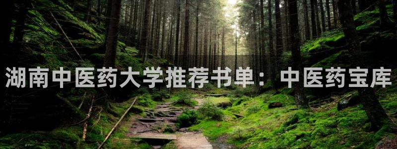 j9九游会真人手机版