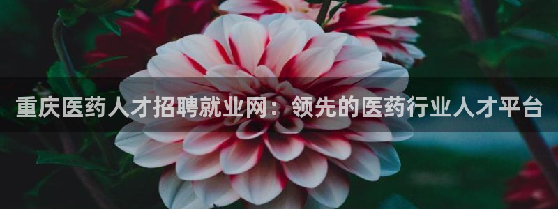 j9九游会中国