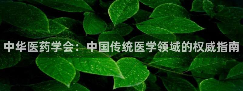 九游会集团正规吗