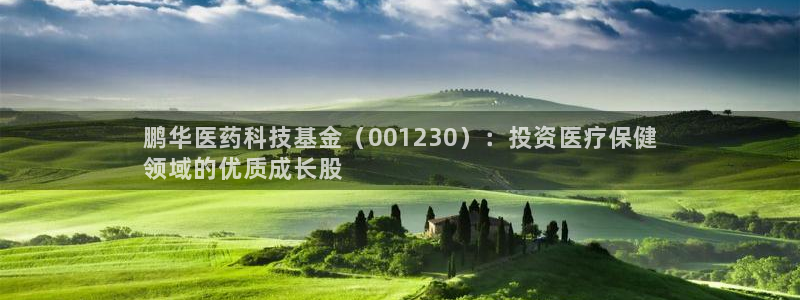 九游会网站打不开了
