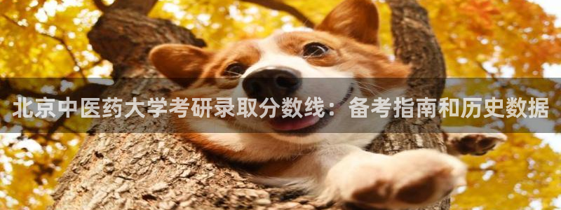 九游会可靠吗