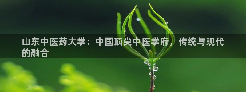 九游会ag官方平台