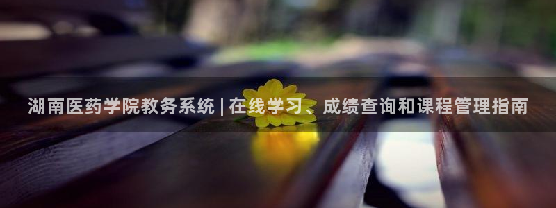 九游会j9官方登录入口